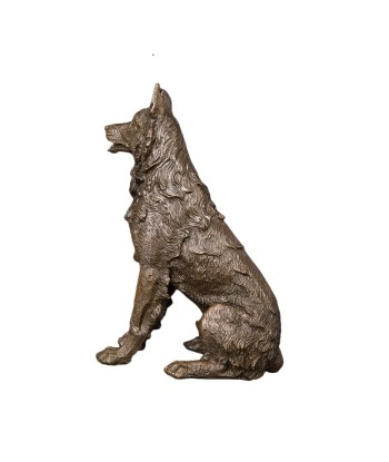 Sculpture Bronze Animalière  Chien 20 cm ouvre sa boutique