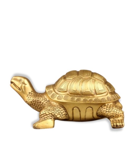 Statue Tortue  Extérieur sélection de produits