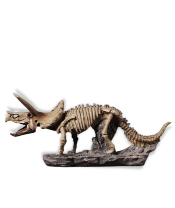 Sculpture Moderne  Statue Triceratops Squelette pas cher chine