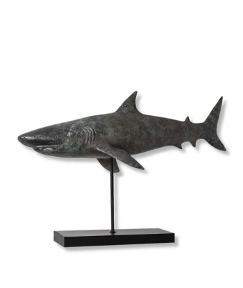 Statue Requin shop