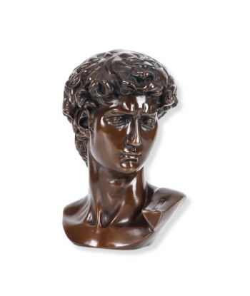 Buste David  Bronze 25 cm suggérées chez