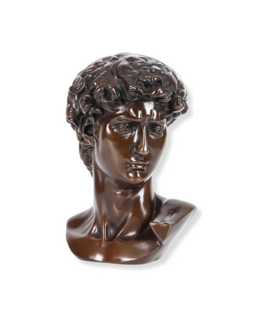 Buste David  Bronze 25 cm suggérées chez