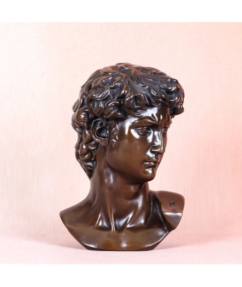 Buste David  Bronze 25 cm suggérées chez