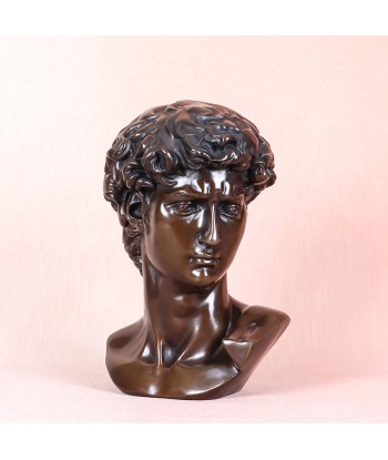 Buste David  Bronze 25 cm suggérées chez