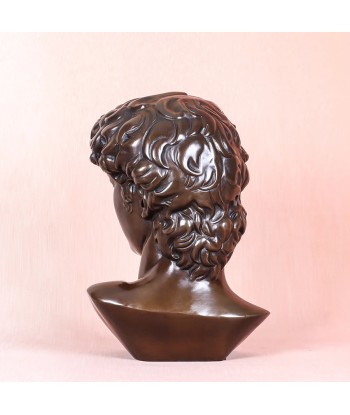 Buste David  Bronze 25 cm suggérées chez