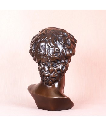 Buste David  Bronze 25 cm suggérées chez