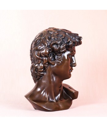 Buste David  Bronze 25 cm suggérées chez