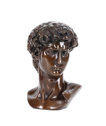 Buste David  Bronze 25 cm suggérées chez