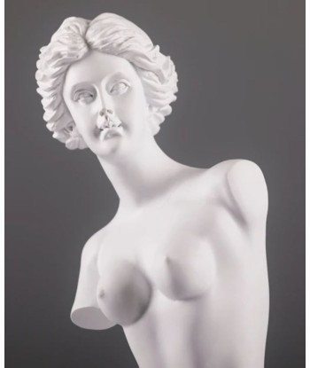 Statue Vénus de Milo 40 cm 2 - 3 jours ouvrés.