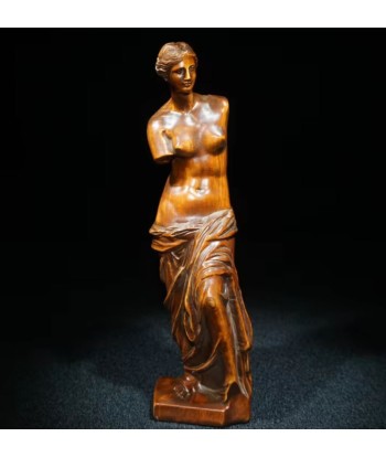 Statue Vénus de Milo en bois 20 cm une grave pollution 