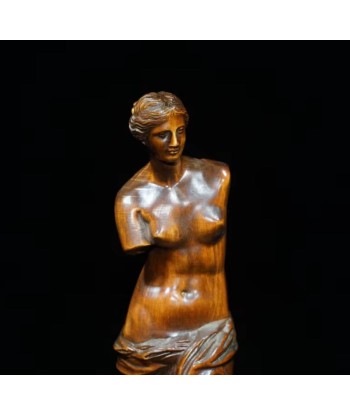 Statue Vénus de Milo en bois 20 cm une grave pollution 