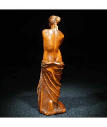 Statue Vénus de Milo en bois 20 cm une grave pollution 