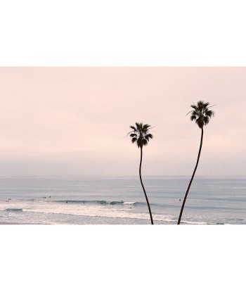 Kerchromatic - California palmtree shop