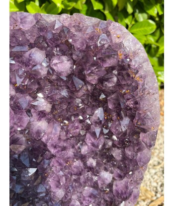 Grande Géode d'Amethyste l'évolution des habitudes 